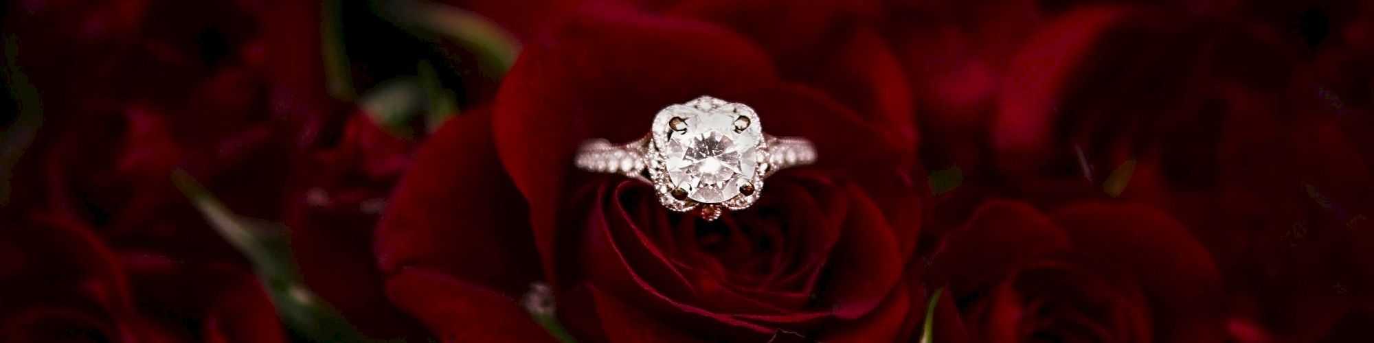 Windows at Marquette